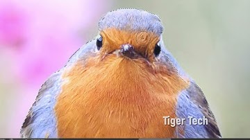 How To Joint Picture Editing Background in Photoshop cc, Part BP - 21