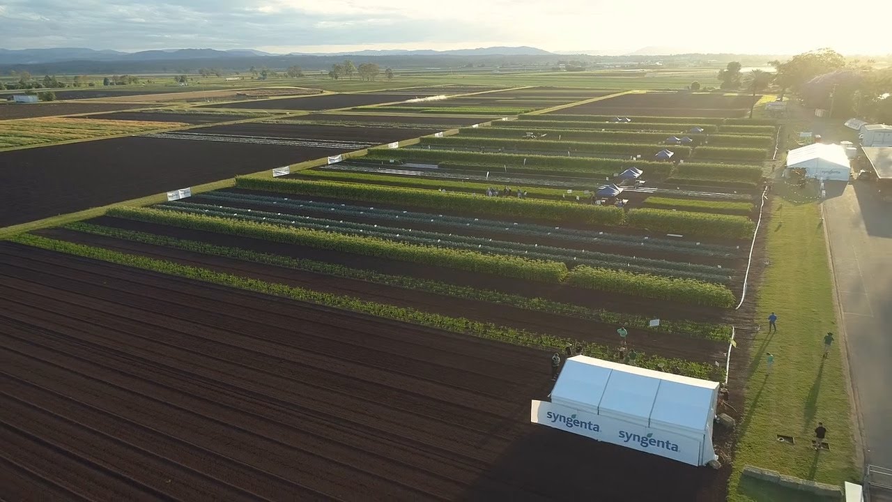 Syngenta 2022 GrowMore highlights