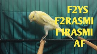 Download Lagu BAHAN F2RASMI, F2YS, F1RASMI, AF !!! MONGGO DI GAS BOS Q MP3 Download Lagu BAHAN F2RASMI, F2YS, F1RASMI, AF !!! MONGGO DI GAS BOS Q MP3