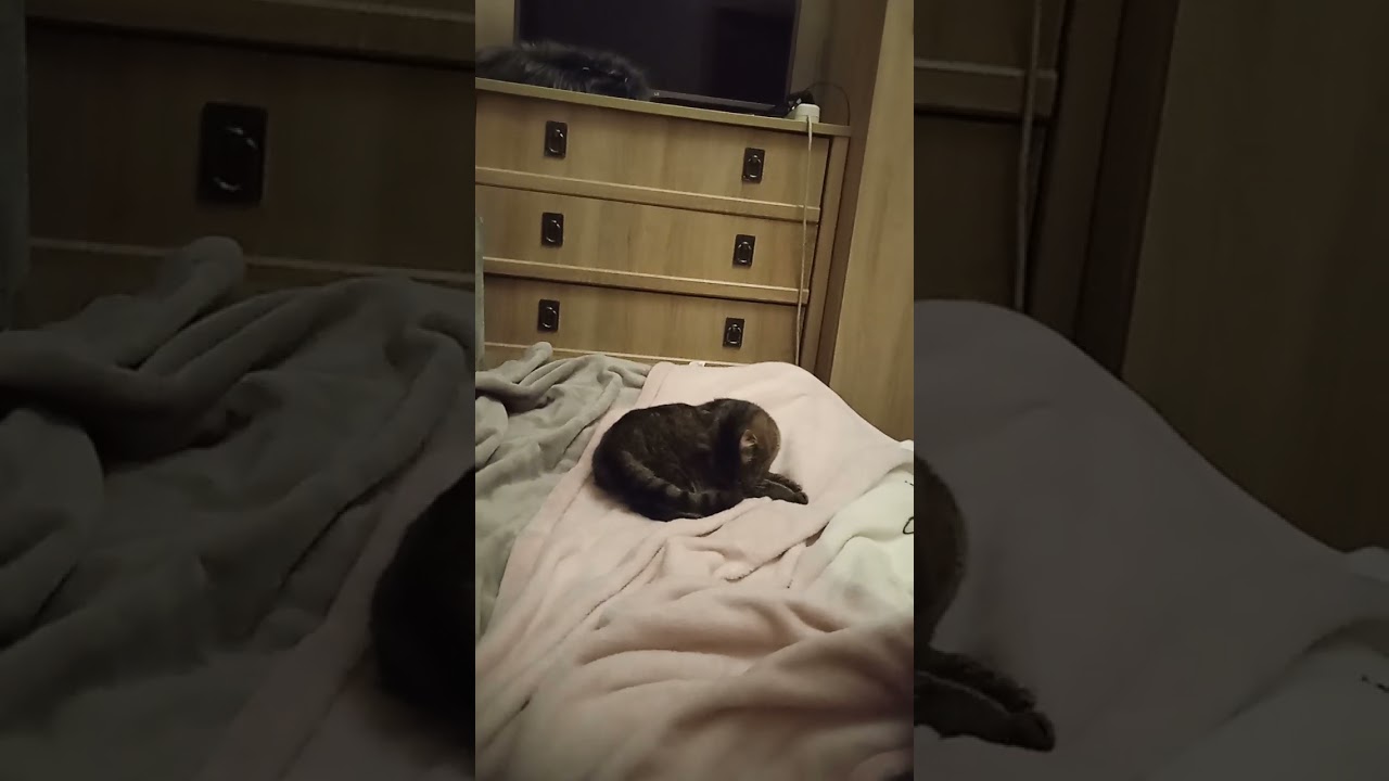 25 лютого 2026 р.