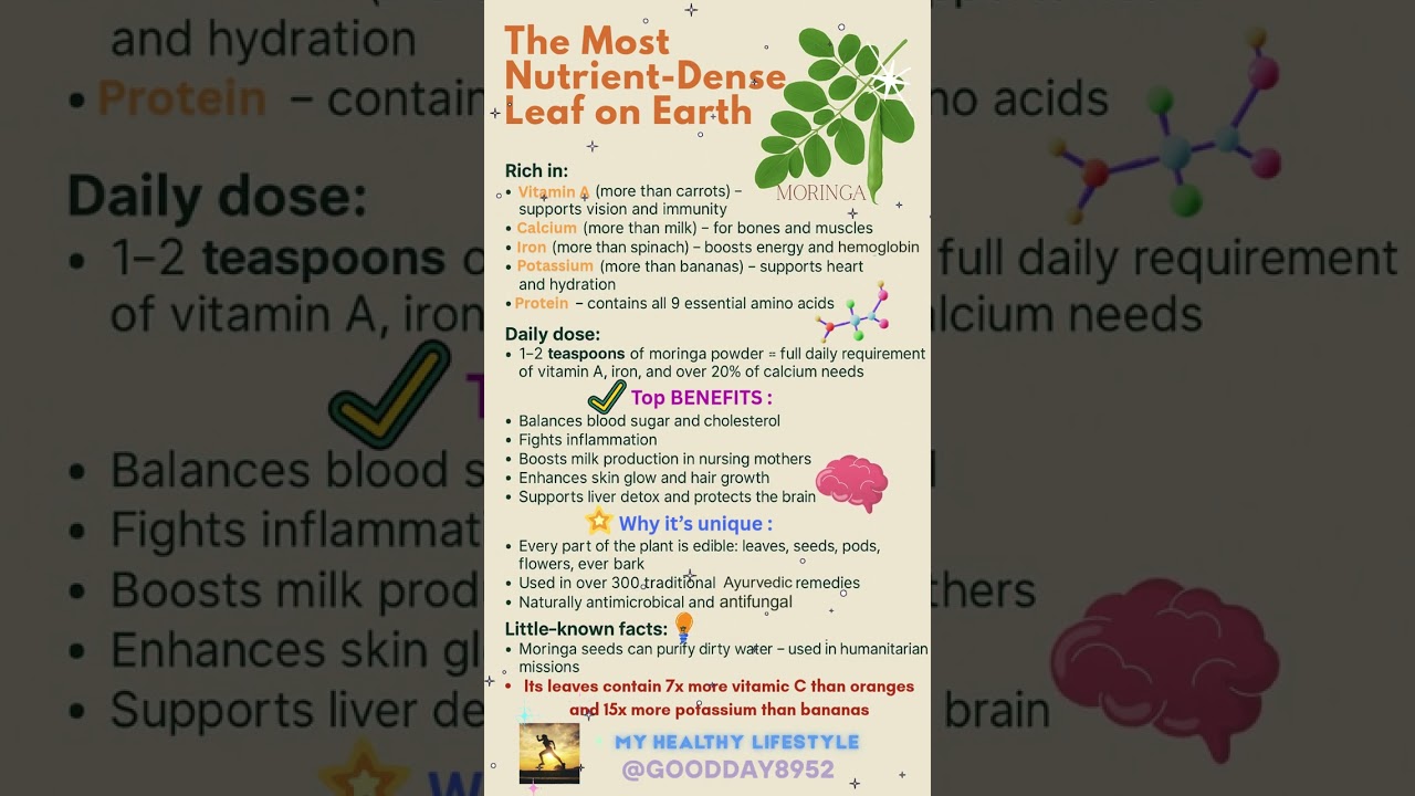 ⚡️The Most Nutrient-Dense Leaf on Earth🌿Why Moringa Might Be the World’s Healthiest Plant☝️