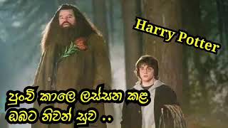 Hagrid අප අතරින් වෙන්ව යයි | Robbie Coltrane passed away | Harry Potter | Hagrid