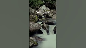 سورة فاطر - أحمد النفيس