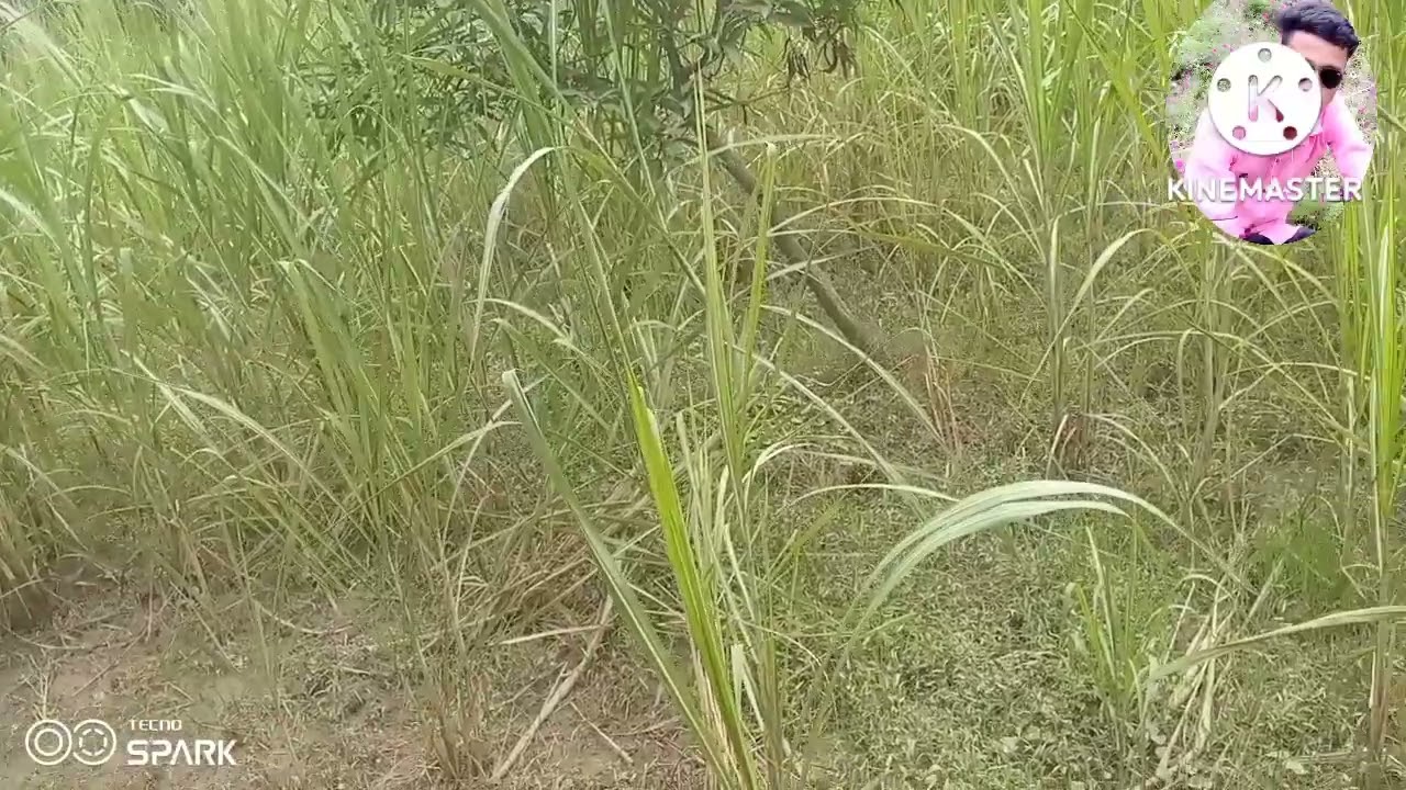 রাজশাহীর বিখ্যাত জায়গা। sojib 360