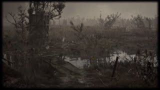 Wallpaper Engine ➤ S.T.A.L.K.E.R. 2: Heart of Chernobyl • (PC) [Animated Background] ツ