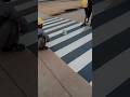 Black & White Zebra Crossing in Progress ⚫⚪Precision on Every Line 🚧