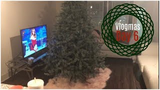 Putting up our $800 tree! | Vlogmas | Day 6