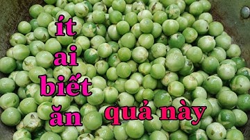 Vào rừng tránh covid-19:và ăn quả cà rừng.Go to the forest to avoid covid,and eat wild eggplant.