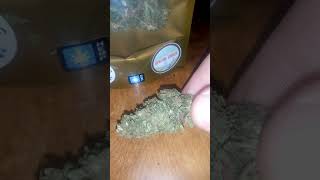 😂444 cbd hemp flower my 1st review😂