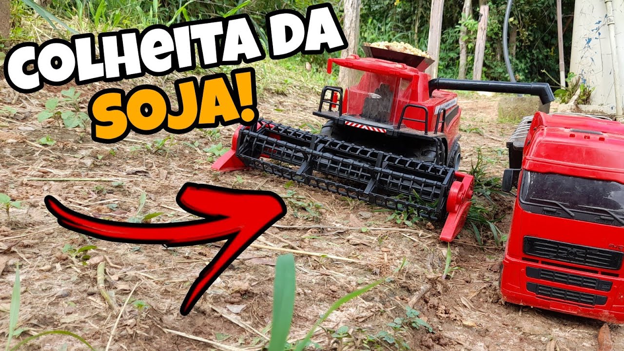 COLHEITA DA SOJA!!🌱