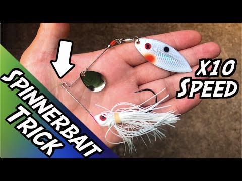 Putting A New Spin On The Old Spinnerbait