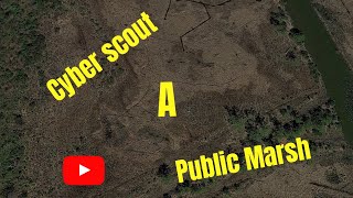 Cyber Scouting Marsh