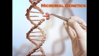 Lecture 7: Microbial Genetics