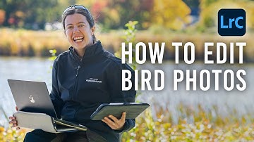 Editing Bird Photos: Tips & Techniques with Emilie Talpin