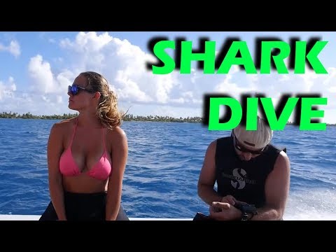 Shark Diving!  - S2:E49
