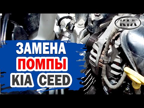 Видео на YouTube