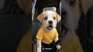 #funny #dogs #cat #rescue 🐶