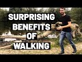 5 surprising health benefits of walking and why you should do it everyday  according to science