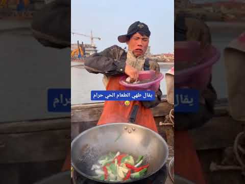 فيديو: هل سيأكل سمك السلور الكوري الجمبري؟