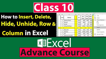 How to Insert, Delete, Hide and Unhide Row and Column in Excel in Urdu - Class No 10