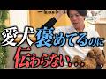 【9割が勘違い】愛犬を褒めても伝わらない飼い主の特徴5選を警察犬ドッグトレーナーが本気解説