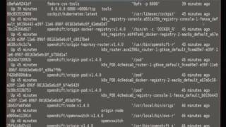 DevConf 2017 - Day 2 14:00 -14:30 - D105