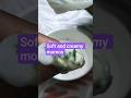 soft and creamy momos