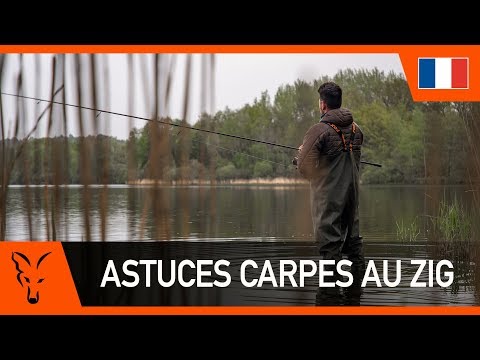 Fox International - NOUVELLE VIDEO FOX 🎥🤩 Vidéo :   Reandez-vous sur notre chaine  Pêche à  la Carpe FOX TV pour voir notre nouvelle Battle Iktus avec Julien FILLEUL  et Nicolas