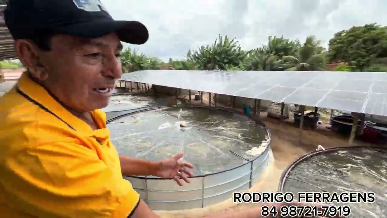 CHÁ PRETO QUE SE CUIDE!