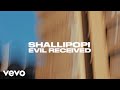 Shallipopi  evil receive official