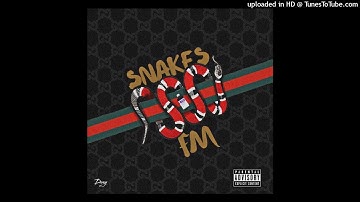 FM - Snakes  (Prod.Legendarykeyzz)