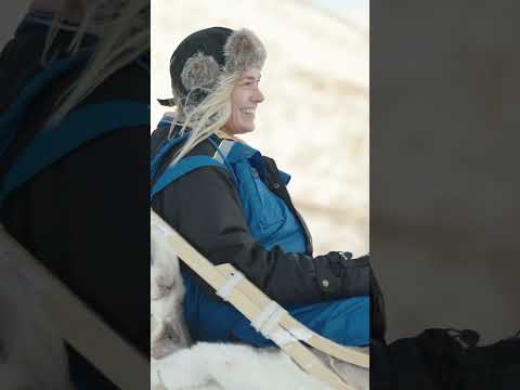 Amazing Husky Sledding