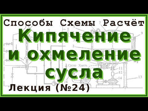 Кипячение и охмеление сусла: способы, схемы и расчёты | Лекция 24 по пивоварению