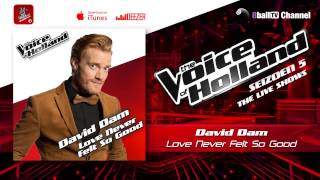 David Dam - Love Never Felt So Good (The voice of Holland 2014 Live show 5 Audio)