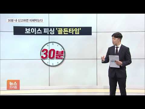 보이스피싱 골든타임 30분…이 시간 내 신고하면 피해 막는다