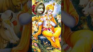 gwalan ko put hoke bado itrave 🙏 #viralsong #gwala #yaduvanshi #banshidhar #nayazamana #krishnmurari