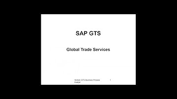 Sap Gts Risk