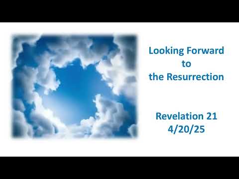 Related Embedded Video Item Thumbnail