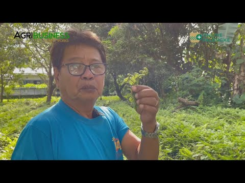 Video: Paano Taasan Ang Kita Sa Merkado