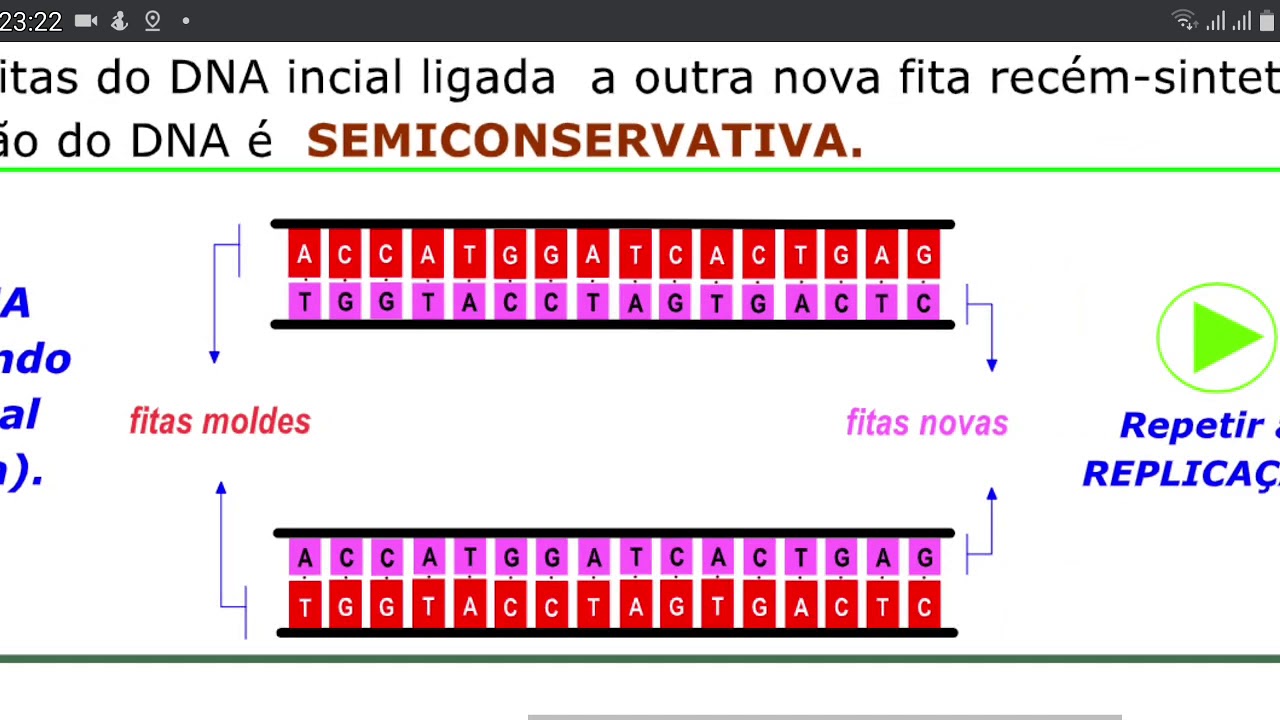 Fluxo da informação genética