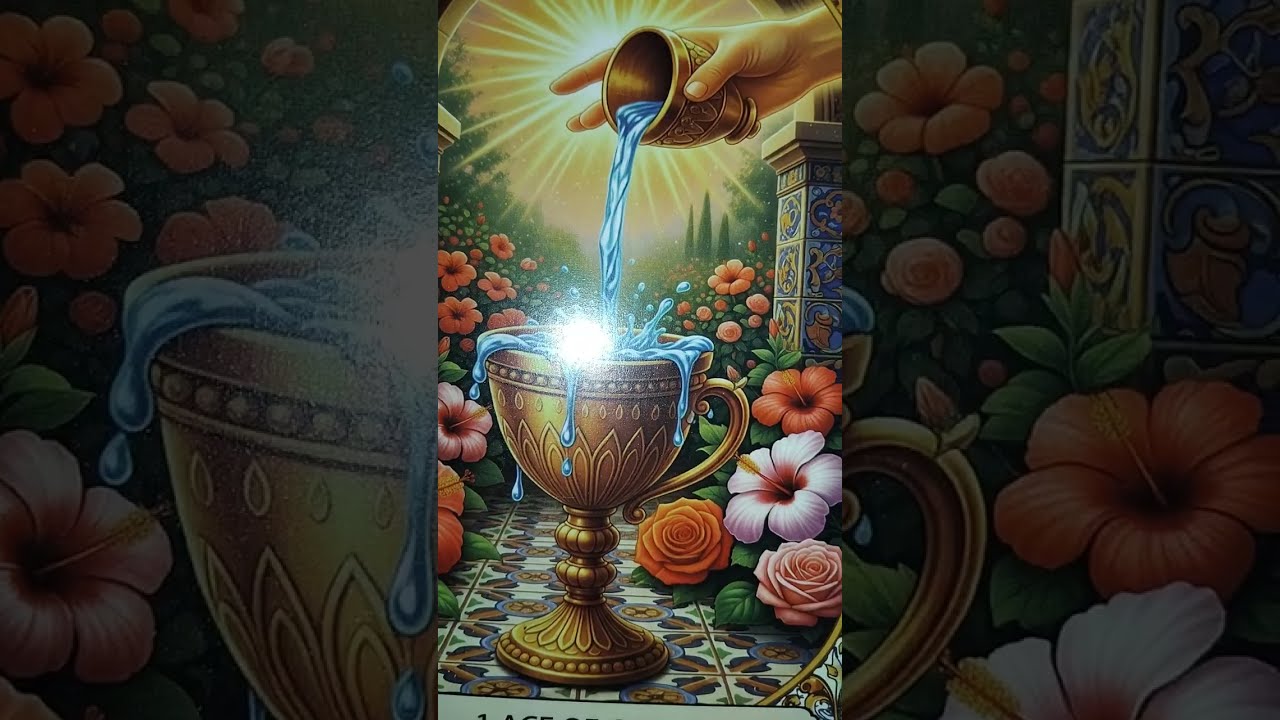 🫵🏾YOU ARE STEPPING INTO A MAGICAL REALITY ✨️ THAT YOU HAVE MANIFESTED FOR YOURSELF 💖💕🦋🧚🏾‍♀️🎊