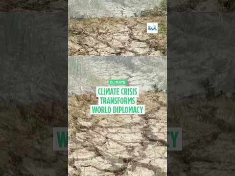 Climate change has created a meta-crisis in food security, energy and the economy, says Greek expert