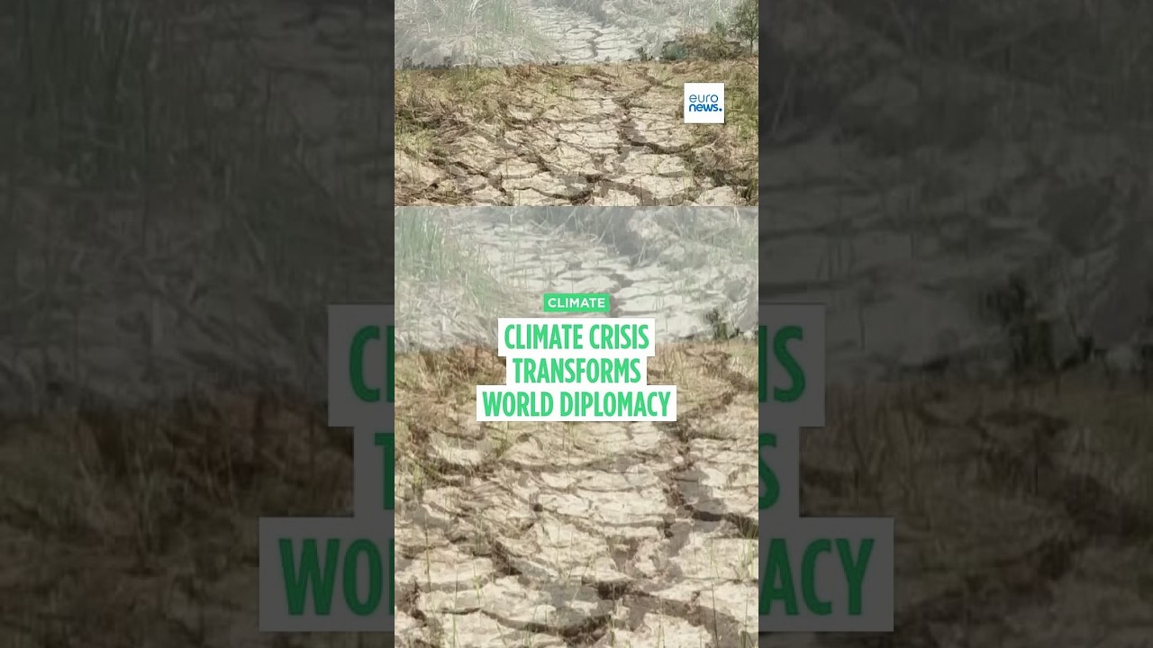 Climate change has created a meta-crisis in food security, energy and the economy, says Greek expert