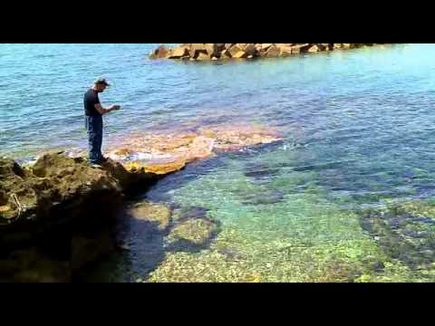 Pesca con la polpara – Sea fishing Social
