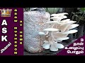 வீட்டிலேயே ஈஸியா காளான் வளர்க்கலாம்... காளான் வளர்ப்பு முறை | How to Grow Mushroom at Home Easily