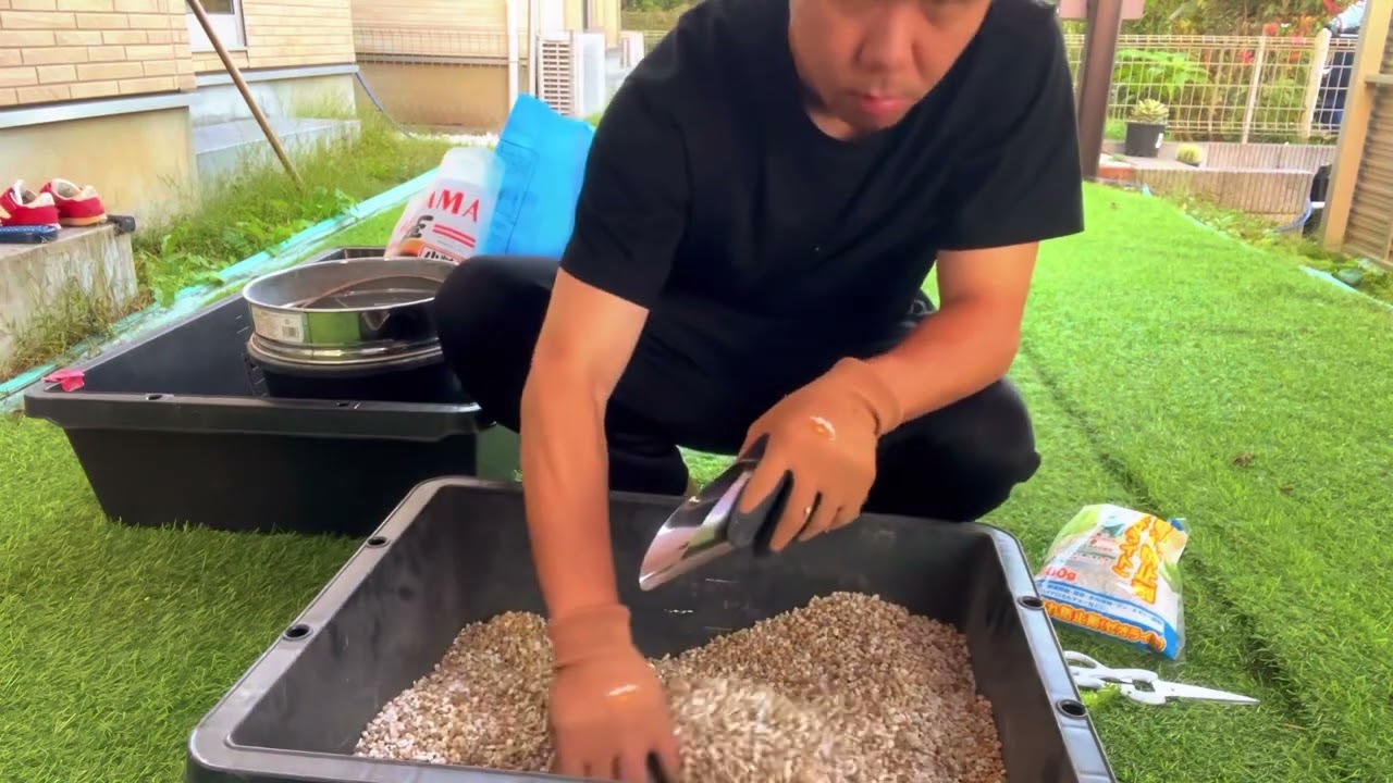 アガベ　用土作り。