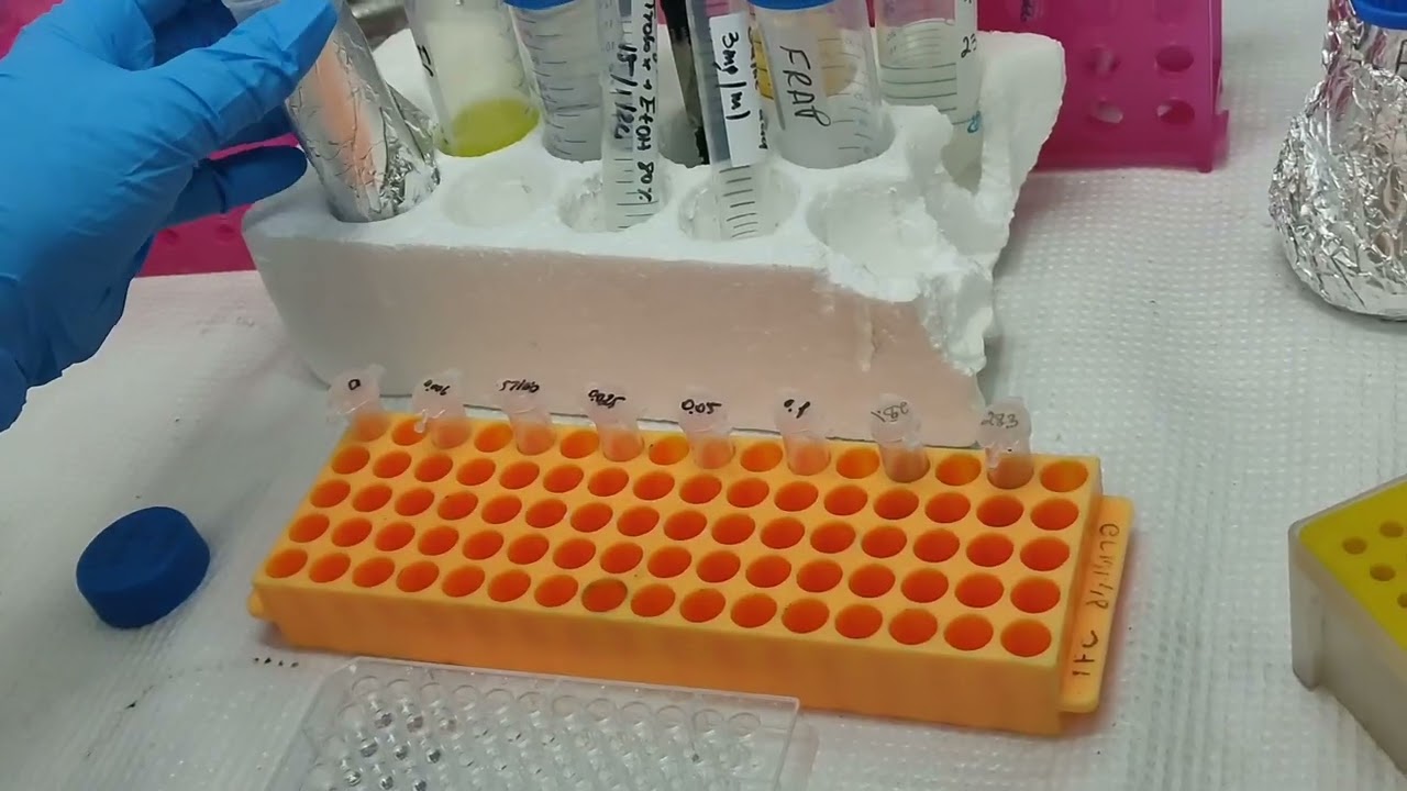 Antioxidant activity DPPH