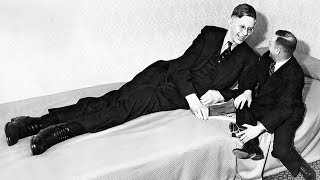 The Life Of Robert Wadlow, The World's Tallest Man Ever