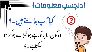 Paheliyan in Urdu | Riddles in urdu | Amazing facts screenshot 4