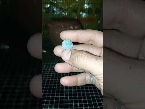 تحدي الحصالة 1 شيكل
